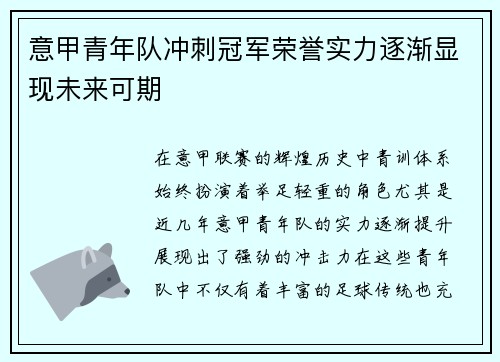 意甲青年队冲刺冠军荣誉实力逐渐显现未来可期