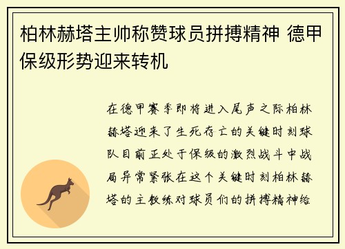 柏林赫塔主帅称赞球员拼搏精神 德甲保级形势迎来转机