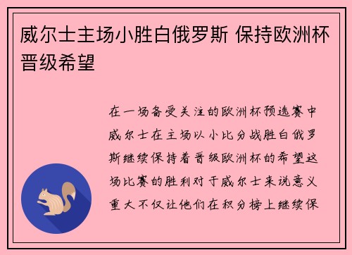 威尔士主场小胜白俄罗斯 保持欧洲杯晋级希望